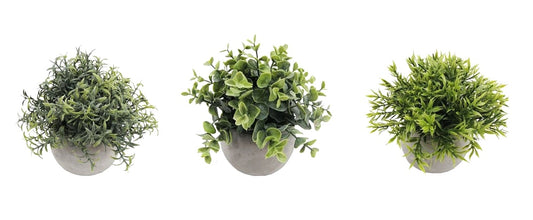 Artificial Green Plant in Cement Pot 18cm - Select from 3 Assorted Styles