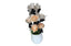 Blushing Petals  Bouquet - Vase Flower Arrangement