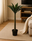 Potted yakka plant in a living room setting with a beige sofa and wooden cabinet.