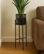 Black metal plant stand with a green plant in a living room setting.