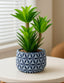 Potted plant with a geometric patterned pot on a table