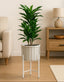 Potted plant on a white stand in a living room setting with a couch and side table.