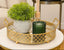 Gold decorative small tray with a plant and candle on a marble surface