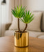 Small potted plant in a gold pot on a wooden table with a blurred background