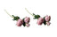 Set of two soft pink artificial rose stems, 60cm, each with three realistic blooms and green leaves.