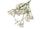 Artificial Baby Breath Flowers - White 63cm