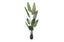 Artificial Bird of Paradise Plant - 180CM
