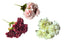 Artificial Bloomed Peony Bunch 45cm – Single or Set of 2 – 3 Colours Available