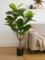 Fiddle leaf fig plant in a pot on a wooden floor with a beige sofa and decorative items in the background.