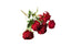  Artificial red peony and frangipani bunch, 43cm, vibrant floral arrangement.