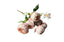 Artificial pink peony and frangipani bunch, 43cm, lifelike floral décor.