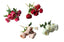 Artificial Peony/Frangipani Bunch 43cm – Single or Set of 2 – 4 Colours Available