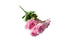 Soft pink artificial rose bunch, 31cm, with realistic flowers and vibrant greenery.