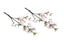 Set of two soft pink artificial cherry blossom stems, 49cm, with lifelike blooms and greenery.