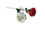 Artificial Single Stem Rose 50cm – Single or Set of 8 – 2 Colours Available