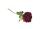 Deep red artificial rose stem with lifelike petals and greenery.