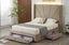 Angled view of champagne velvet Elwood bed with gold accents and open storage drawers.