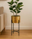 Gold decorative planter with a plant on a black stand in a room with beige walls and wooden floor.