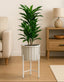 Potted plant on a white stand in a living room setting with a couch and side table.