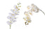 Orchid Single Stem Flower 68Cm