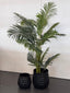 Set of 2 - Teagon Planter - Large/Small