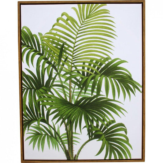 Framed Canvas Paradise Palm